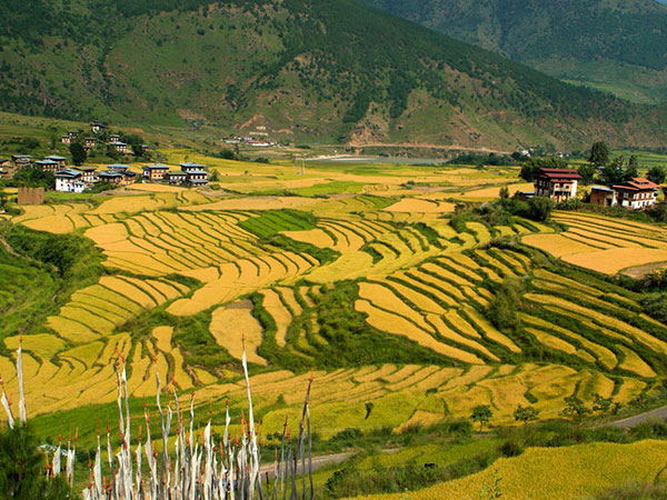 7 Days Splendid Bhutan Exploring Tour