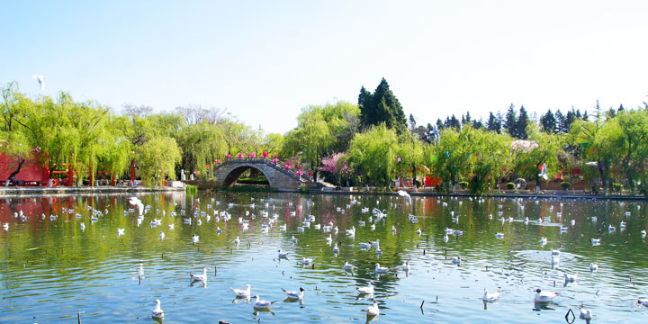 Kunming City View-Green Lake Park