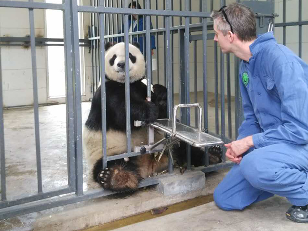 12 Days China Panda Adventure Family Tour