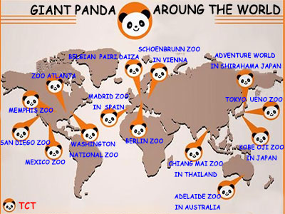 Giant Panda Zoos in the USA