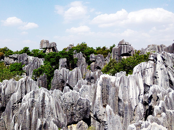 4 Days Kunming and Stone Forest Tour