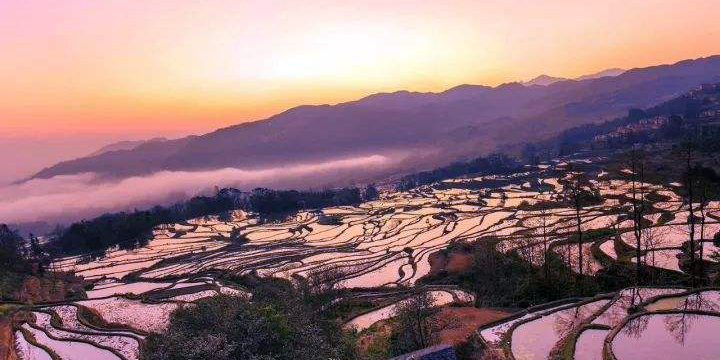 yuanyang rice terraces